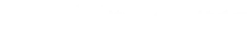 Brazilian Times